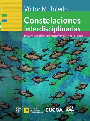 cover image of Constelaciones interdisciplinarias